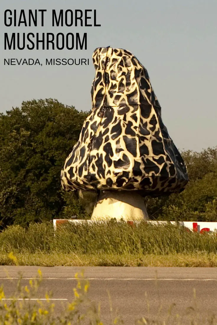 Giant Morel Mushroom, a roadside attraction in Nevada, Missouri.